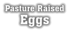 Pasture Raised Eggs